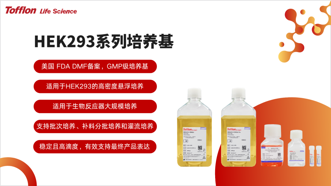 HEK293培养基高质量批量化连续交付--树立生物药核心原料可靠供应能力