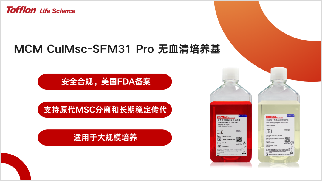 【案例分享】MCM CulMsc-SFM31 Pro培养基突破MSC大规模培养瓶颈，赋能临床级细胞高效量产