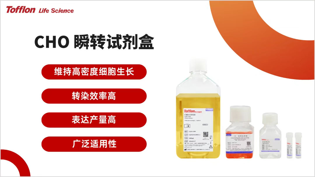 【新品速递】高效高活率！东富龙CHO瞬转试剂盒革新蛋白表达