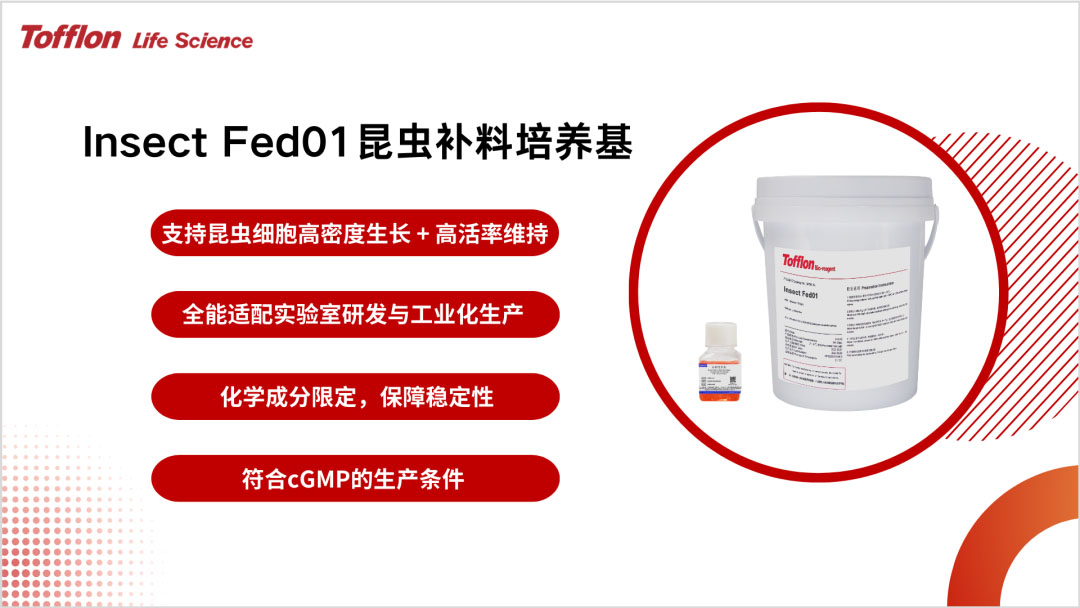 【新品速递】东富龙Insect Fed01昆虫补料培养基，赋能蛋白高效表达